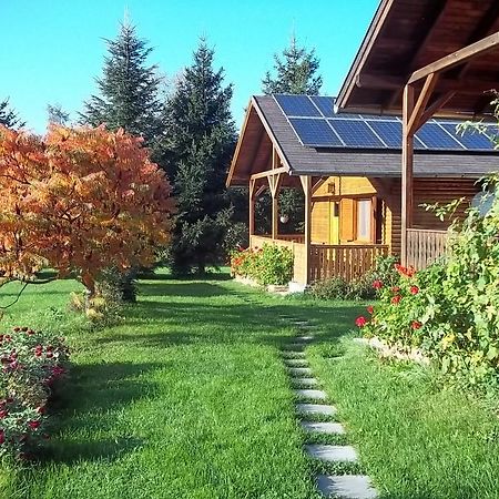 Romantyk vendégház Manfa Exterior foto
